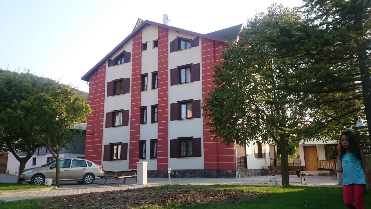 Mekan Ilica Apart Otel Karacasu  Exterior foto